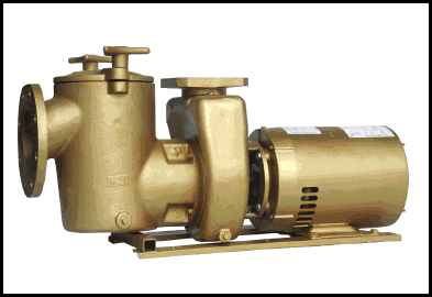 bronze pool pumps