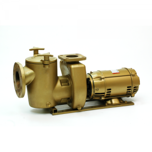 VM Bronze Pool Pump