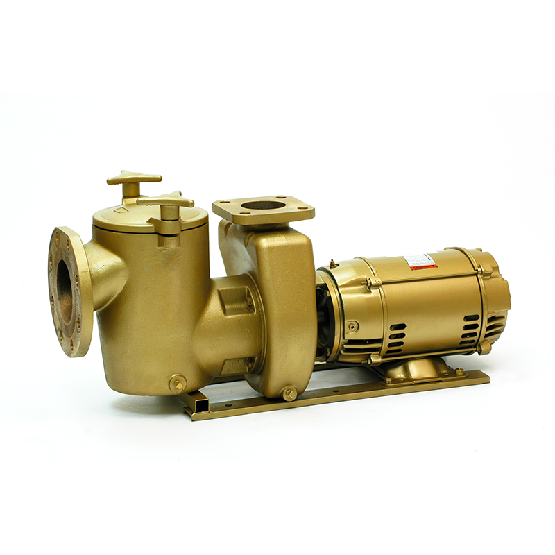 The VM Co. Ltd. | Cast Iron & Bronze Pool Pumps